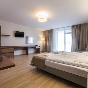 Single Room with Balcony