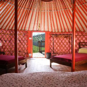 Large Tent (4 Adults)