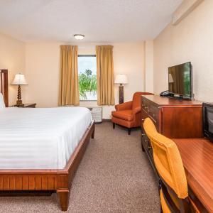 King Room - Non-Smoking