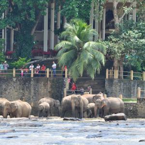 Superior Single Room with River View