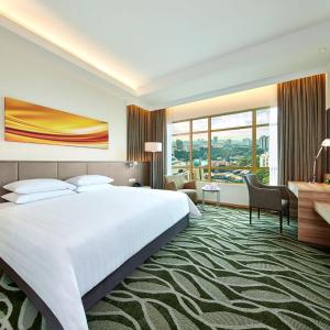 Deluxe Plus Executive Park Double Room