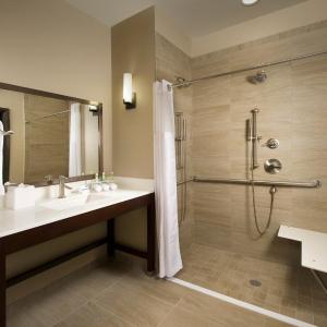 King Room - Disability Access Roll in Shower