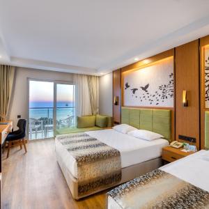 Standard Large Room