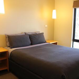 Superior 2 Bedroom Spa Chalet - S4 (1King 1 Queen)