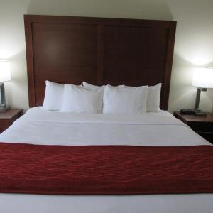 King Room - Non-Smoking