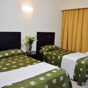 Basic Triple Room