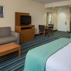 One-Bedroom Queen Suite