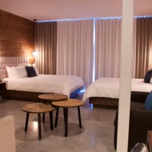 Deluxe Double or Twin Room with Lake View
