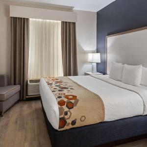 King Room with Sofa Bed - Non-Smoking