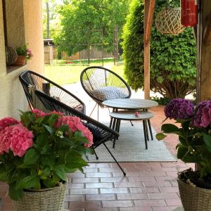 Double Room with Patio