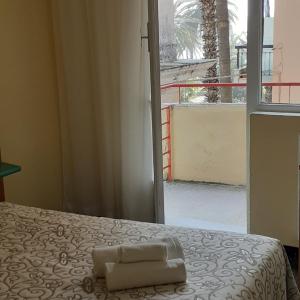 Double or Twin Room with View