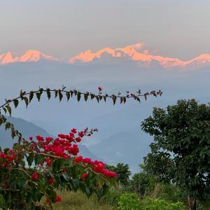 Standard Twin Room with Mountain View