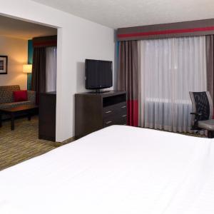 King Suite with Sofa Bed