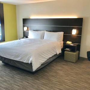One-Bedroom King Suite