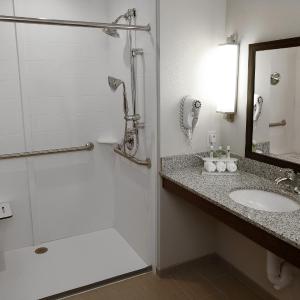 King Room with Roll-In Shower - Hearing Accessible