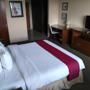 Deluxe Queen Room