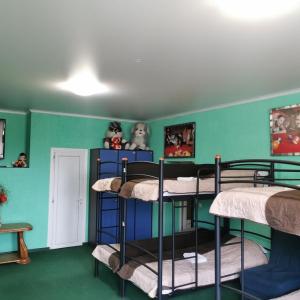 Bunk Bed in Mixed Dormitory Room