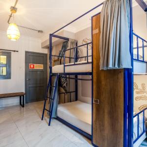 Bed in 8-Bed Dormitory Room