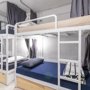 Bunk Bed in Mixed Dormitory Room