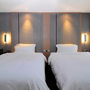 Deluxe Twin Bed Room