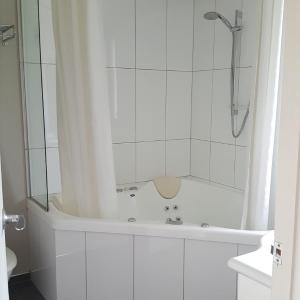 Executive Studio with SPA