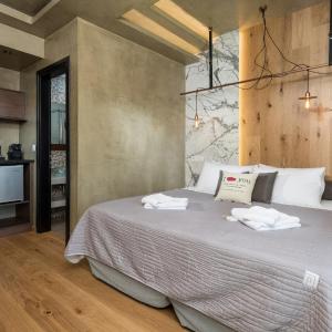 The Superior Room Meteora View