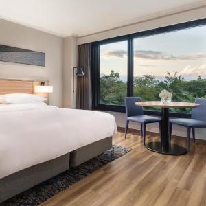 Superior King Hotspring, Guest room, 1 King, Mountain view