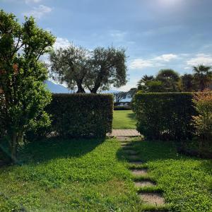 Apartment with Garden View