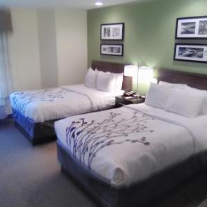 Double Room with Two Double Beds