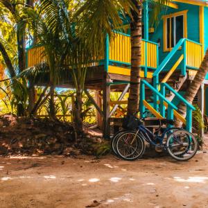 Caribbean Garden View Room & 2 Bikes (#13)