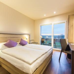 Double Room with Balcony and Air Conditioning