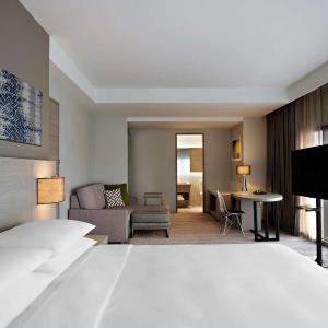 Specialty King Room with Park View and Sofa Bed