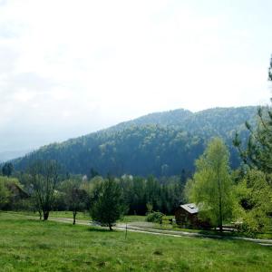 Chalet (5 Adults)