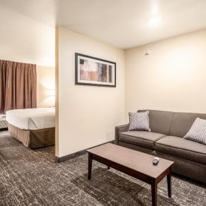 One Room Suite with Sofa bed - Disability Access/Non Smoking