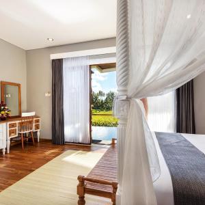 Suite Room with Free Benefit