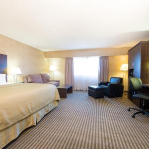 King Suite with Sofa Bed
