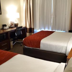 Queen Room with Two Queen Beds - Accessible/Non-Smoking 