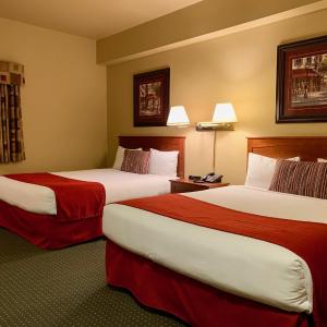 Deluxe Queen Room