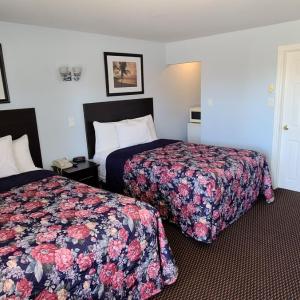 Double Room with Two Double Beds