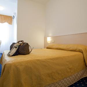 Single Room with Wellness Package