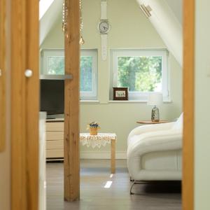Suite Apartment