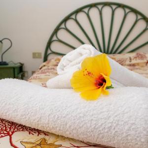 Triple Room with Terrace