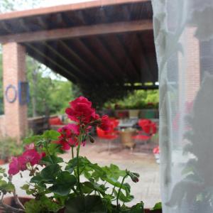 Double Room - Disability Access