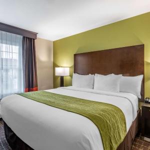 Suite, 1 King Bed with Sofa Bed, Non Smoking
