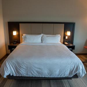 Standard King Room with Mobility Accessible Roll-In Shower