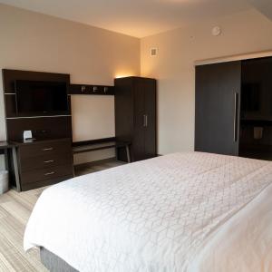 One-Bedroom Suite with Sofa Bed