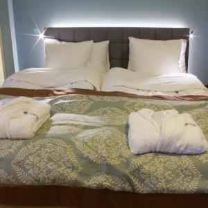 Superior Suite - Annex