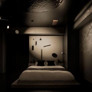 Art of Shadows “ASITA_ROOM REM sleep garden of Mr. X” by Sai