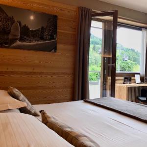 Superior Double or Twin Room with Mountain View