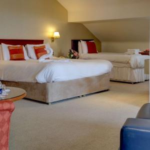 Executive Family King Room